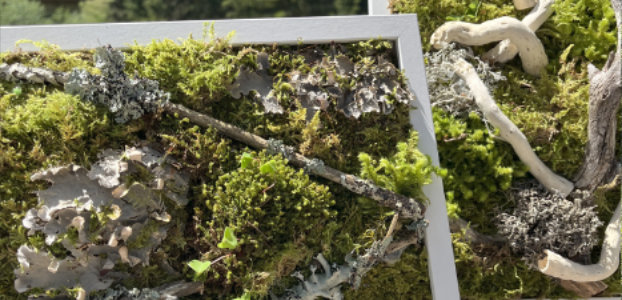 Moos-Workshop in Tirol mit kreativen Dekorationen aus Moos und Naturmaterialien